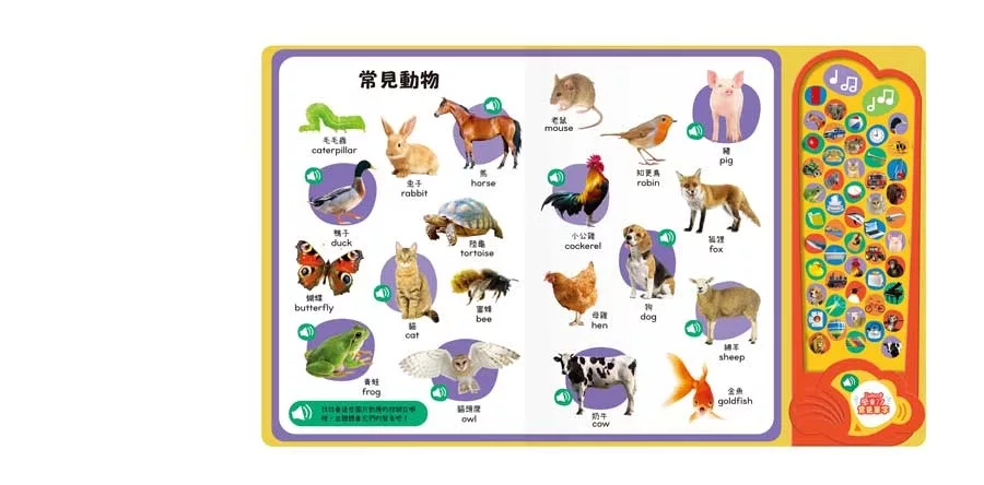 禾流 Listen！學會了！常見單字