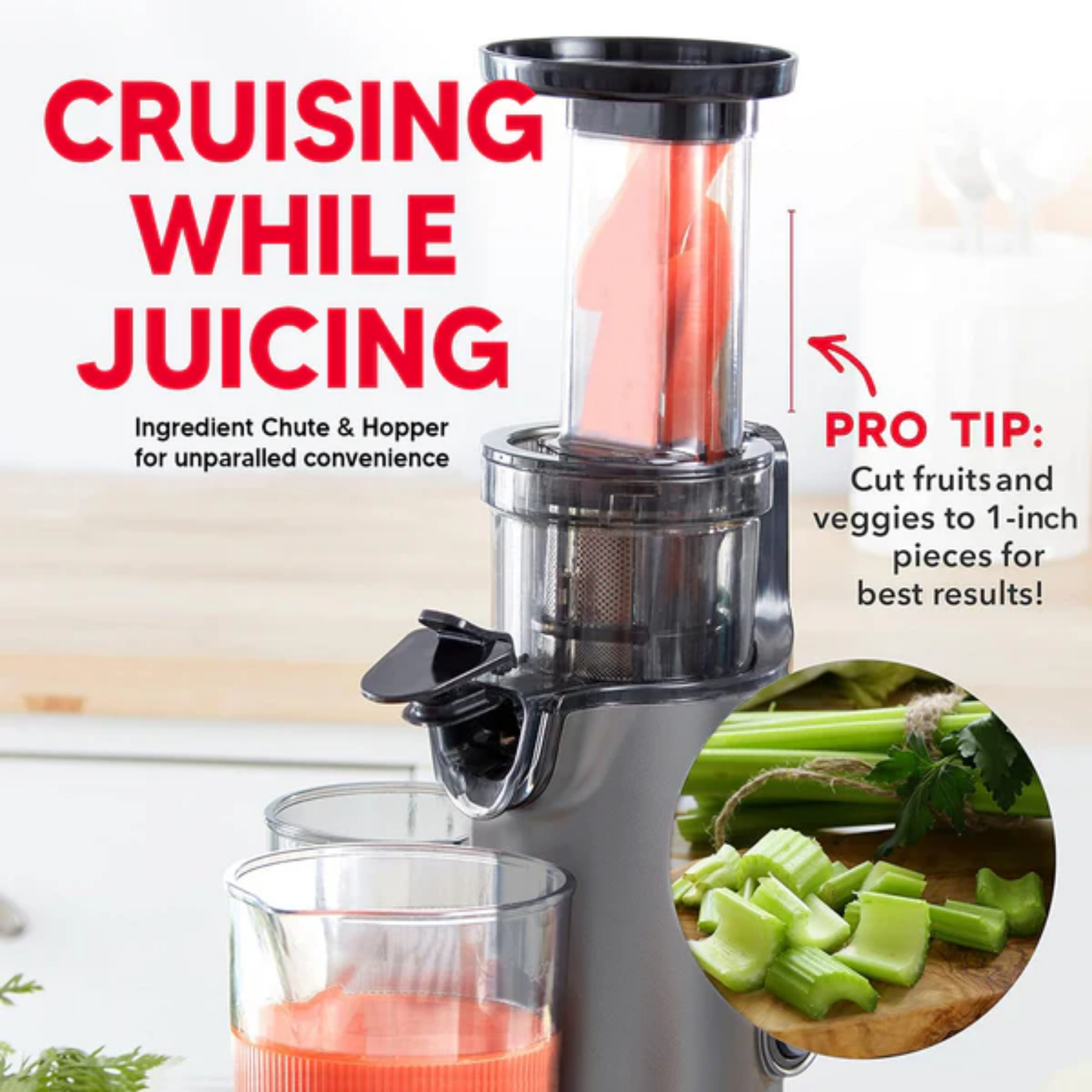 Russell Taylors 130W Compact Slow Juicer (SJ1)