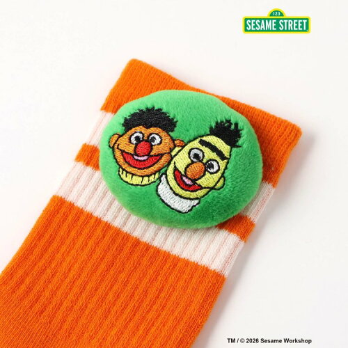 🆕【⭐訂購⭐】🇯🇵日本直送🌀#SesameStreet 3D立體短襪［4款選］🌀[ELED-0165][260618]