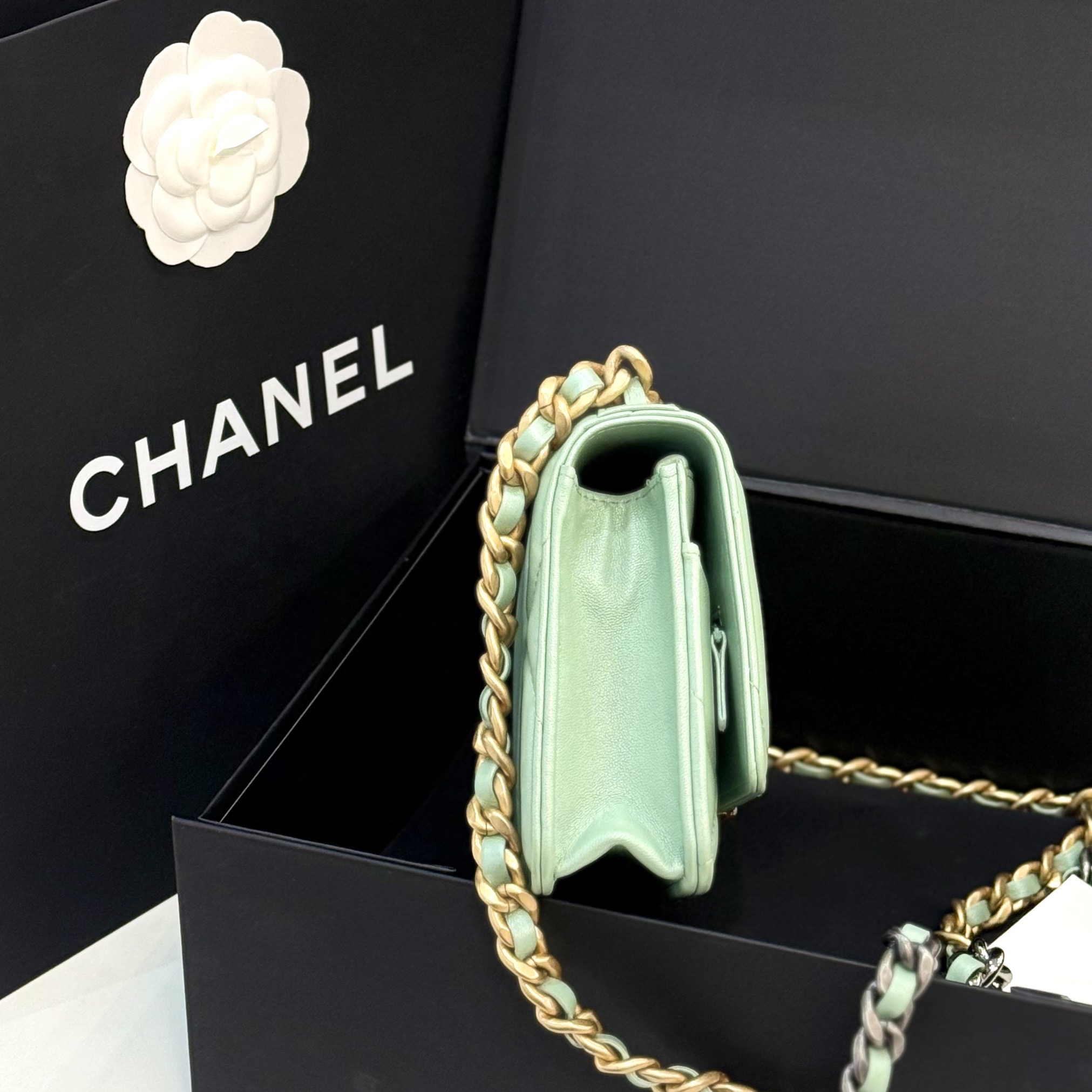 【預訂貨品】芯片款🪪 Chanel薄荷綠woc