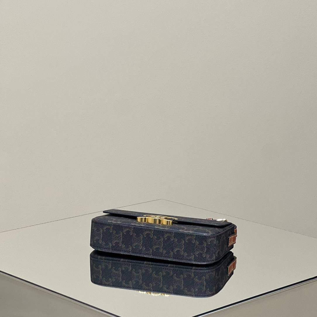 🔥大货实拍图 𝗖𝗘𝗟𝗜𝗡𝗘 ♥ 𝗧𝗥𝗜𝗢𝗠𝗣𝗛𝗘 𝗦𝗛𝗢𝗨𝗟𝗗𝗘𝗥 𝗕𝗔𝗚 型号：194142 尺寸：20*10*4cm