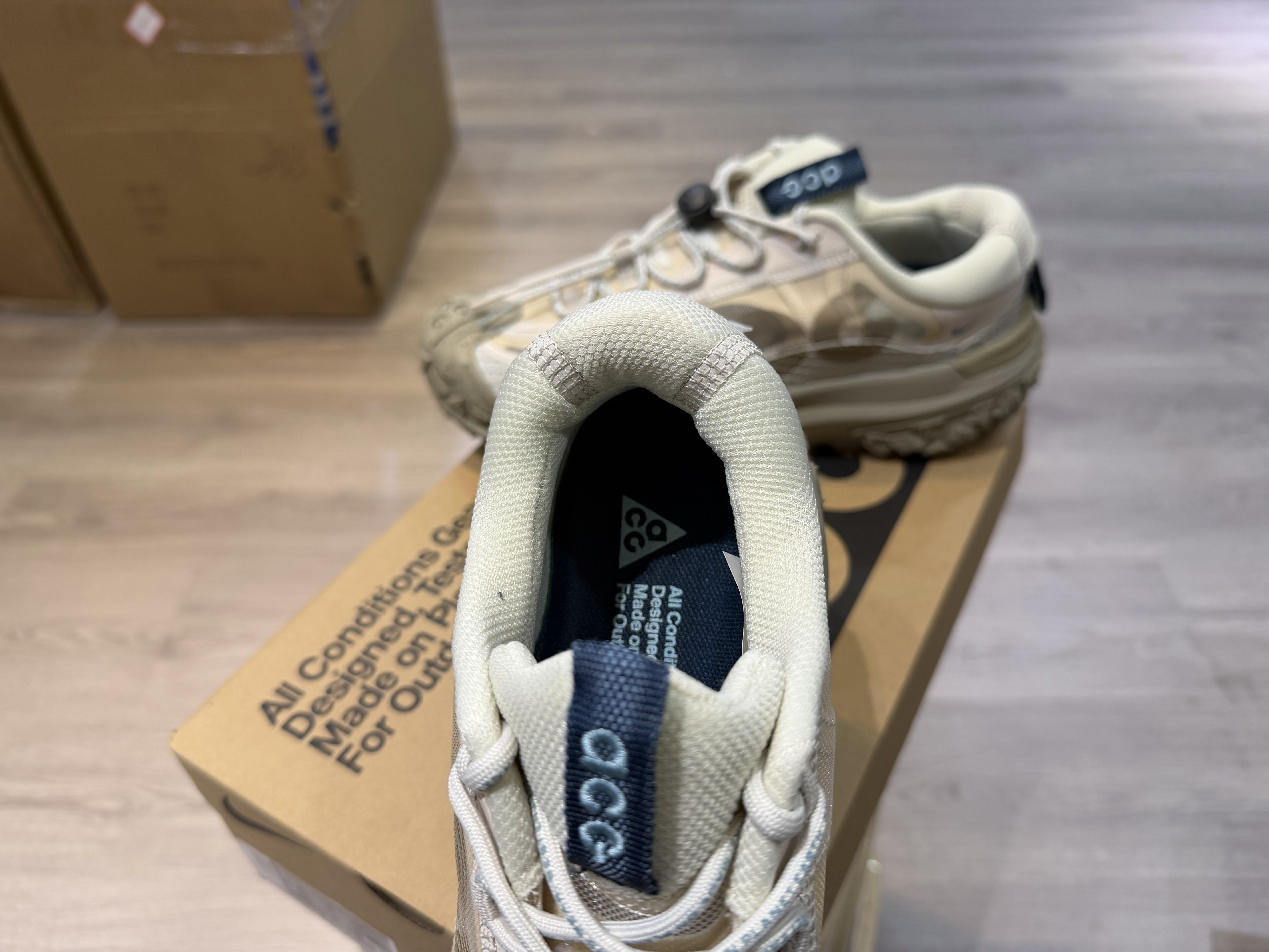 Nike ACG Mountain Fly 2 Low