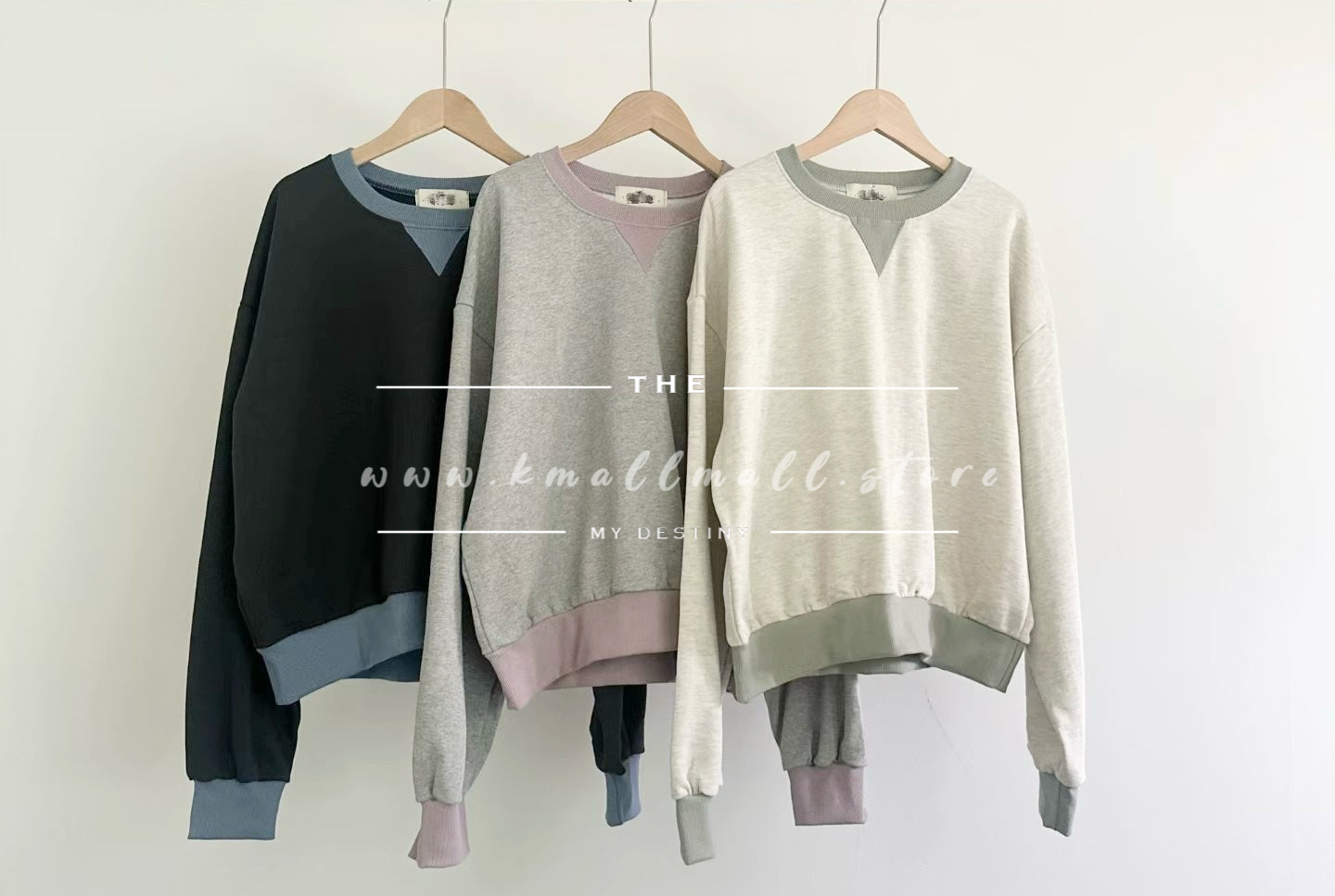 🍂Fall Pre order🍂簡約純色衛衣