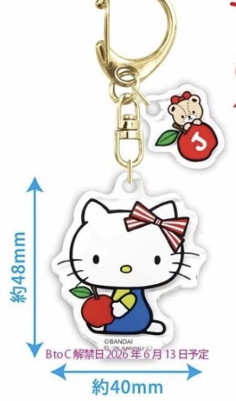 『預售中』Sanrio X The Bear School聯名壓克力掛飾 