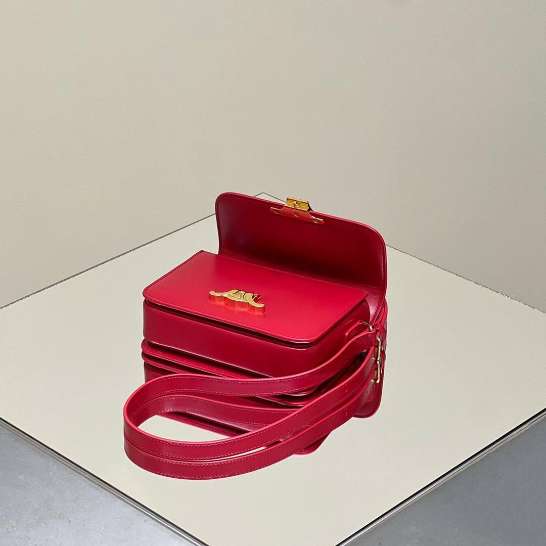 🔥大货实拍图 𝗖𝗘𝗟𝗜𝗡𝗘 ♥ 𝗧𝗘𝗘𝗡 𝗧𝗥𝗜𝗢𝗠𝗣𝗛𝗘 型号：188423 中号尺寸：22.5*16*7cm 小号尺寸：18.5*14*6cm