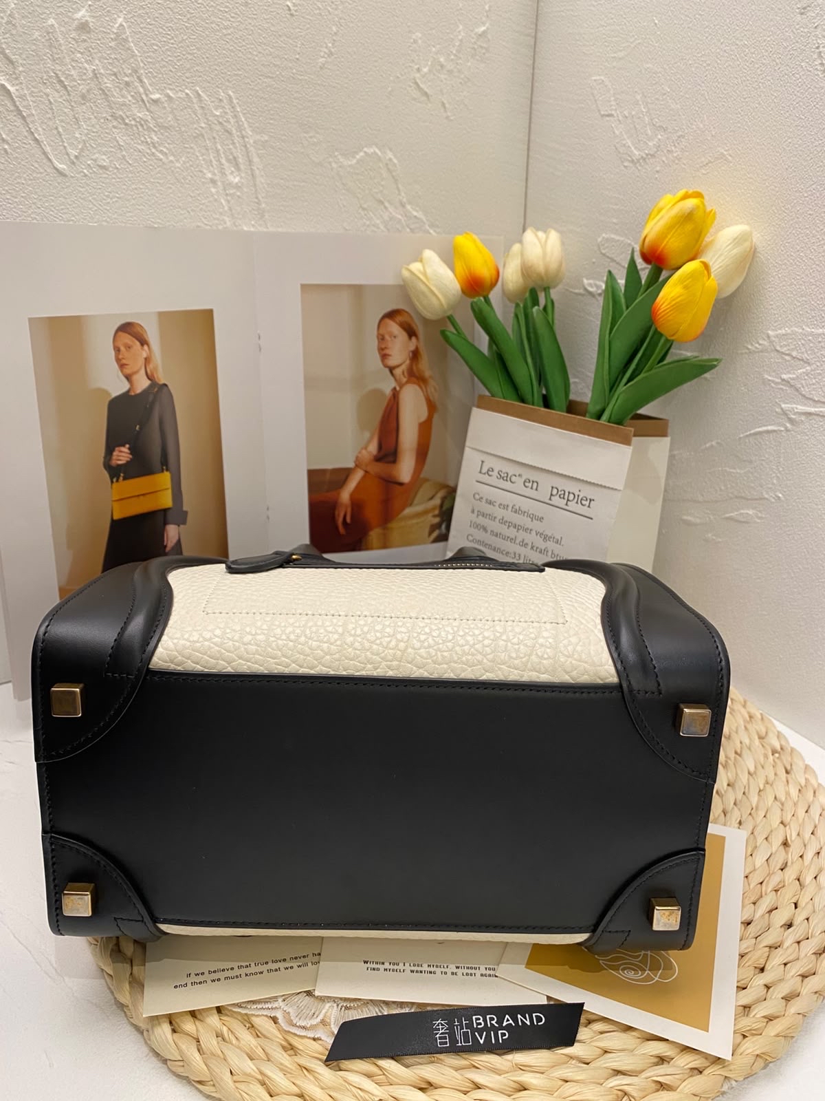 Celine Tricolor Luggage Bag
