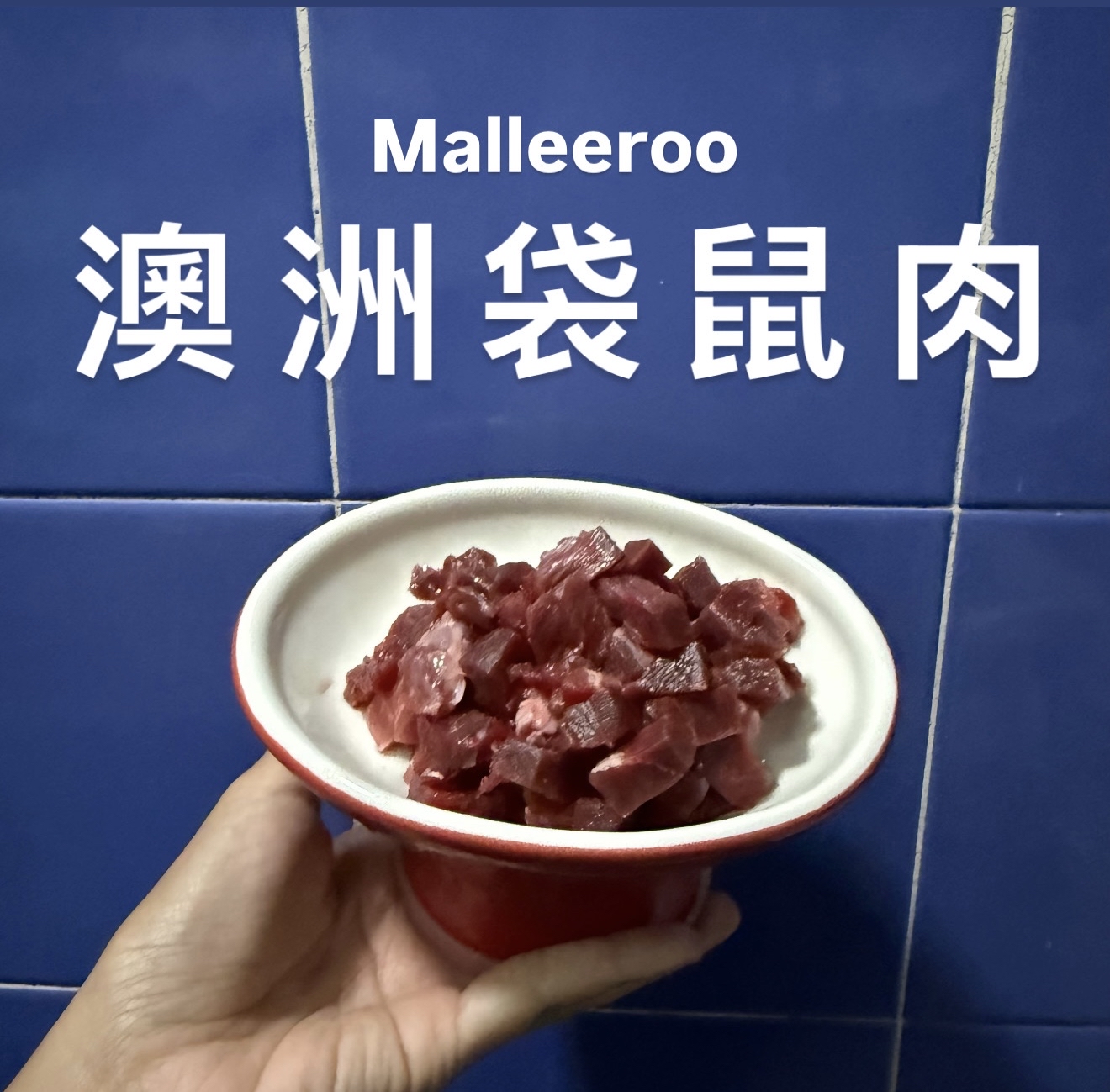 澳洲Malleeroo袋鼠肉