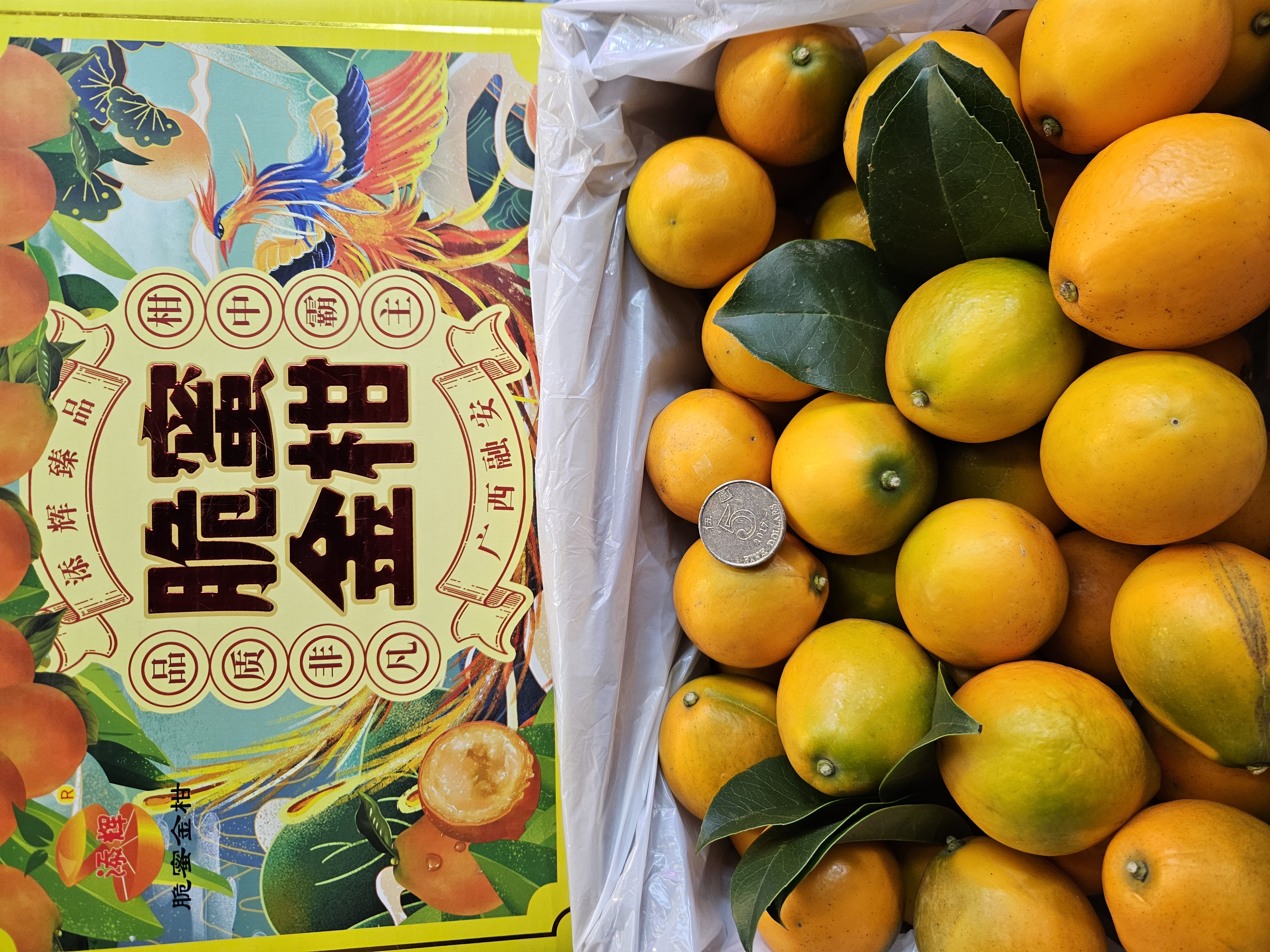 脆蜜金桔（特大装）每磅