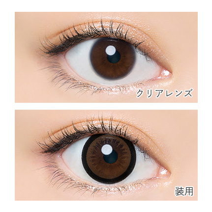 AngelColor Bambi Series - Almond (1day/10P)