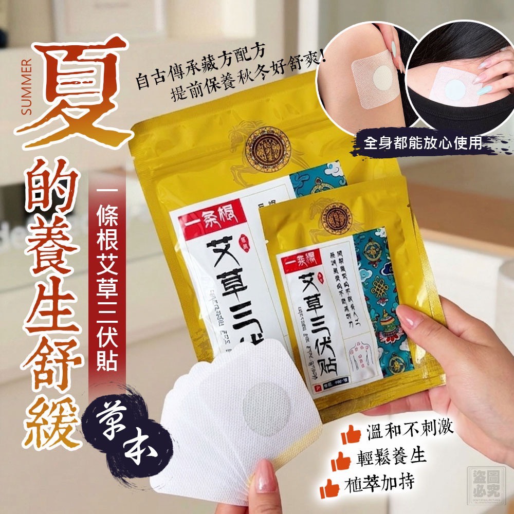 正品 一條根 艾草三伏貼 (1組3包)