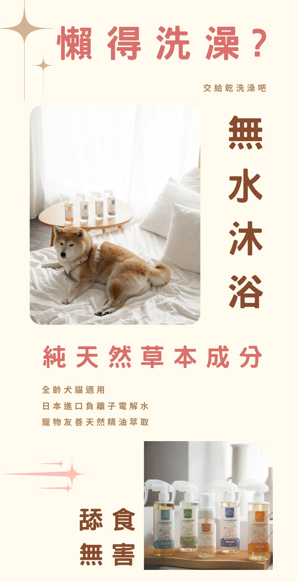 寵心出發-散步必備｜肉球乾洗慕斯 小蒼蘭