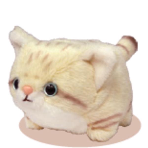 貓科生物-豹紋貓