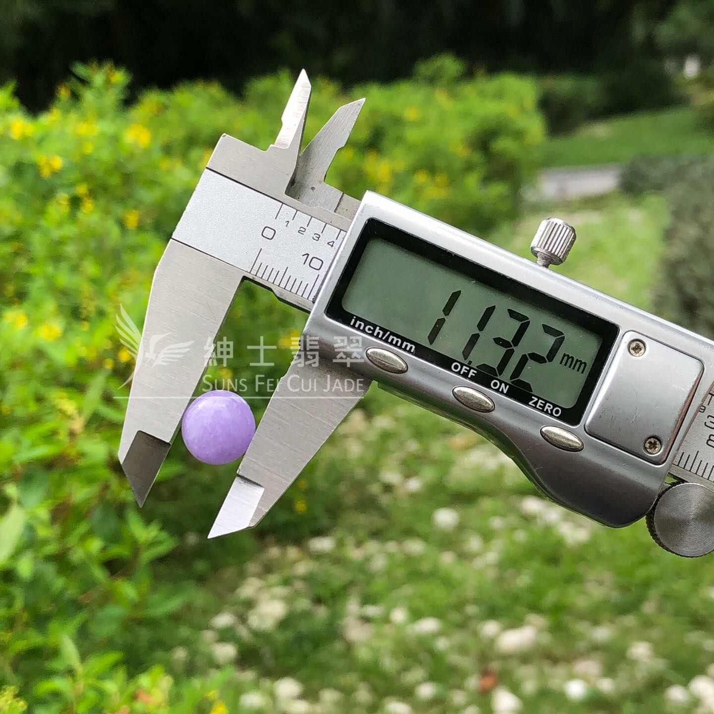 濃色正紫蛋面 - 13