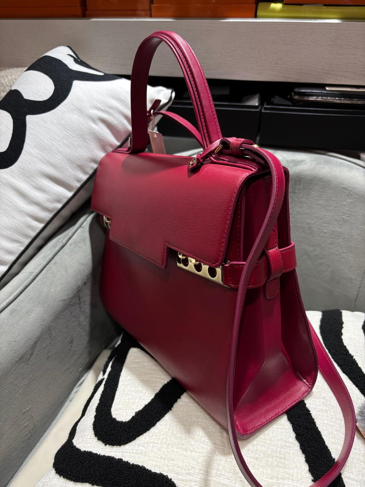 Delvaux Tempete GM 2Way Bag Calfskin 100%Authentic, 98%New ✅Mirror 