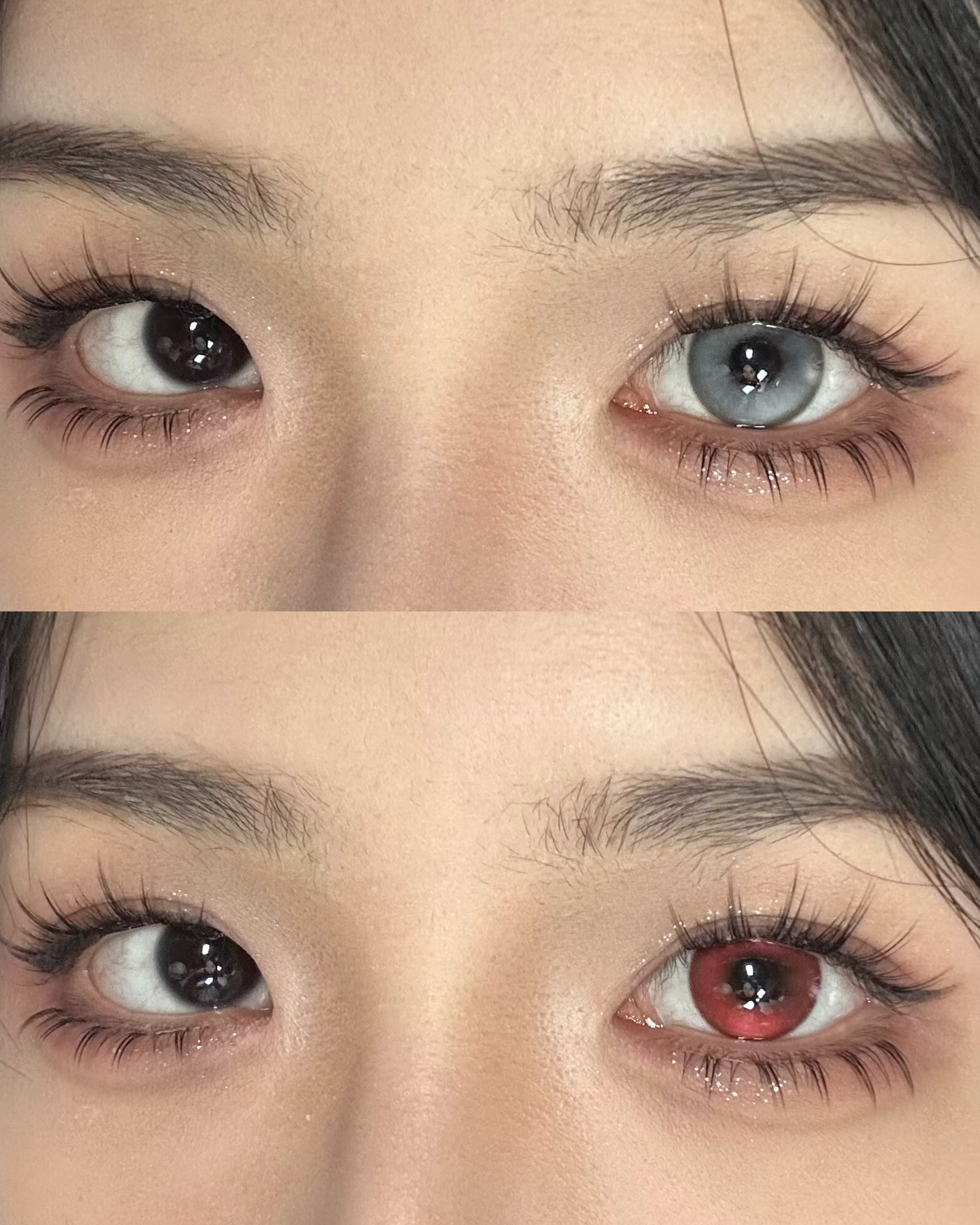 Yukicon 日拋2片 血色薔薇/暗夜銀湖