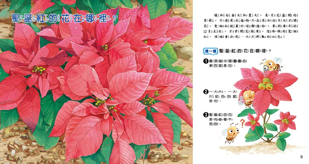 小牛頓 WOW原來是這樣：植物生長