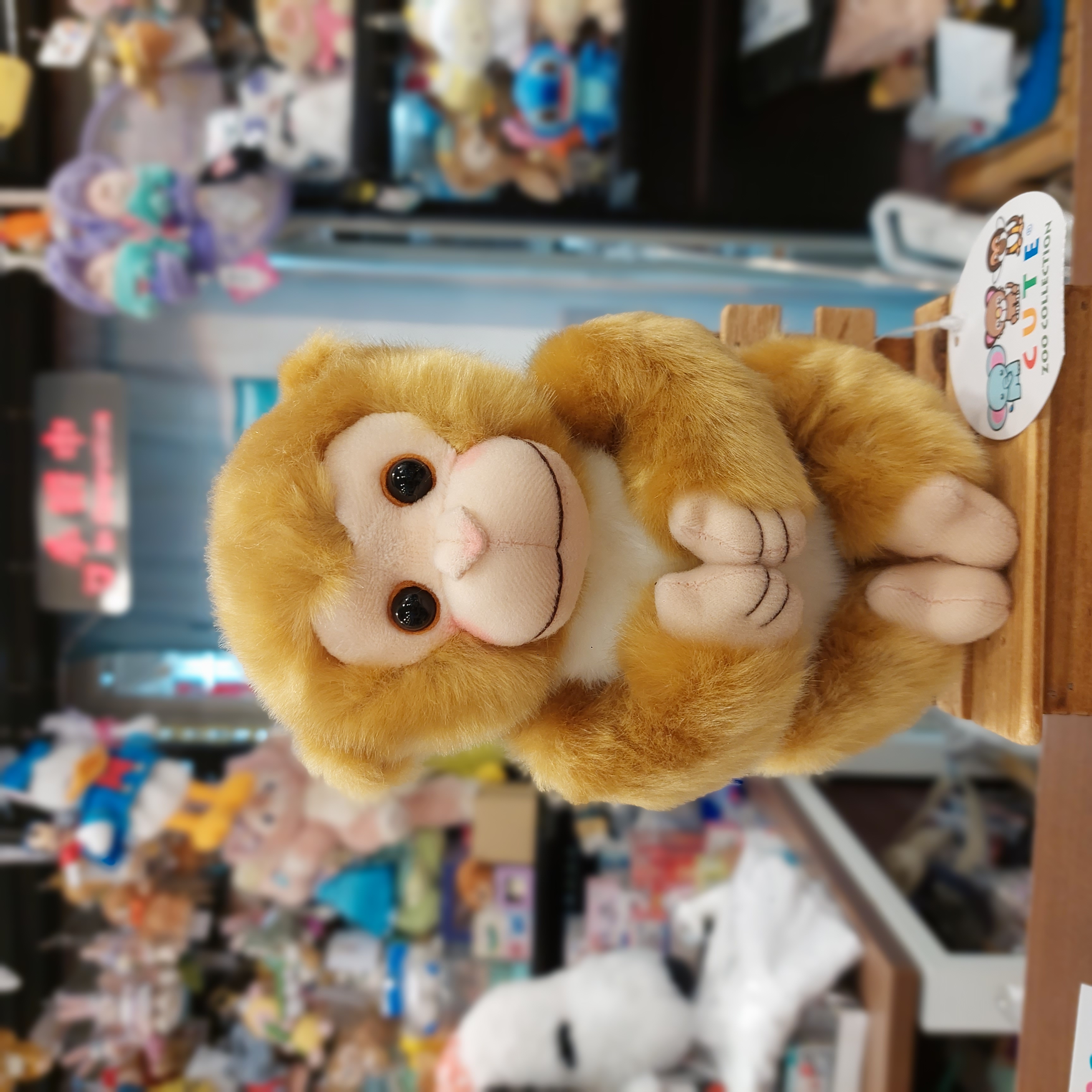市川動物園限定 人气馬騮仔"パンチくん  Panchi君 M號小公仔  全高約21cm