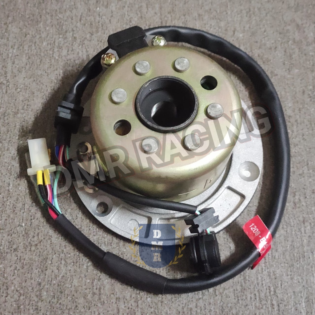 DEMAK D FORCE 160 Std Magnet With Stator Coil Unit (Motocross DFORCE160)