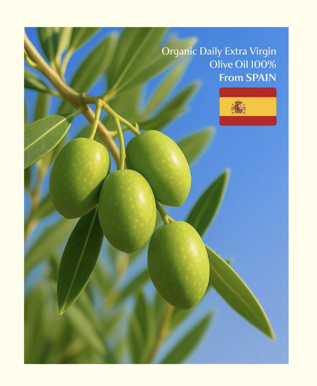 韓國 BB LAB 100%有機特級初榨橄欖油 10包/盒｜Organic Daily Extra Virgin Olive Oil