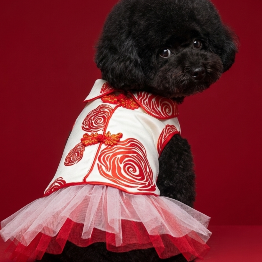 S558Y 玫瑰旗袍配紗裙- 米黃色 Hayden Denim Coat