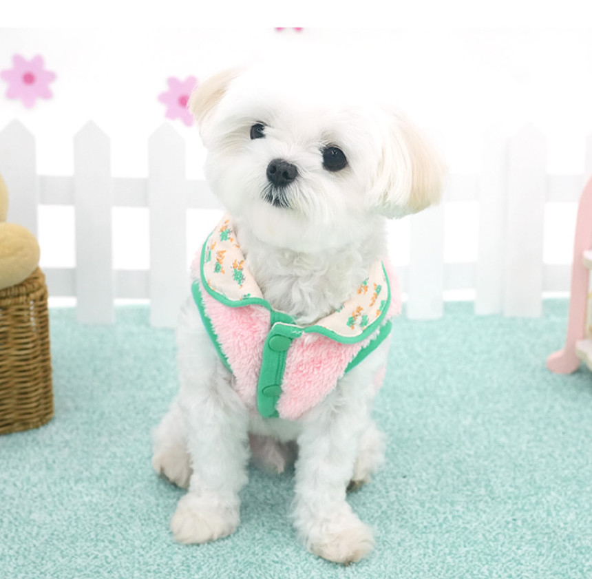 韓國 可愛熊熊🐻系列 衫衫 