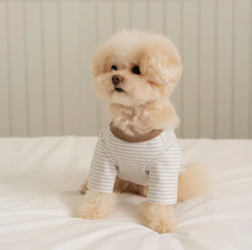 Bite Me🇰🇷SSFW Mellow Stripe T-Shirt 柔和條紋四季打底衫 (3色)