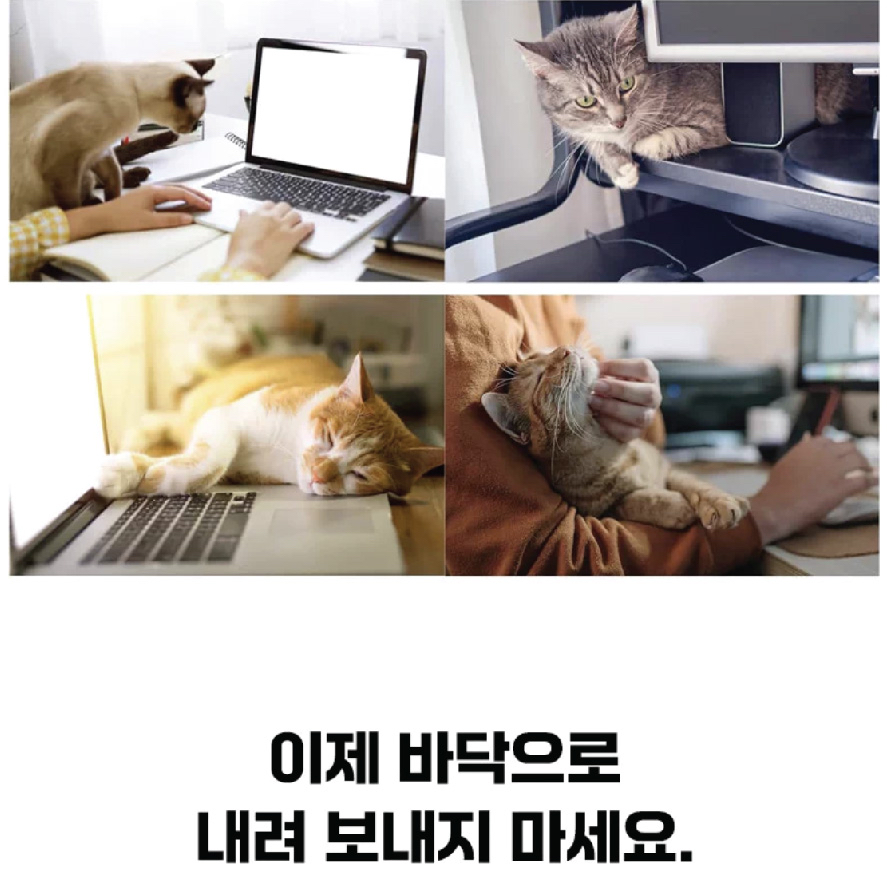 書桌上編織貓吊床