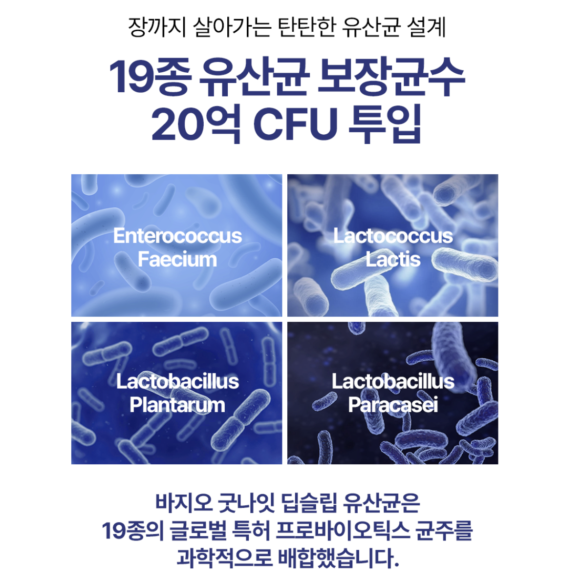 韓國 Bbagio 晚安 深度睡眠 益生菌 30入/盒｜Good Night Deep Sleep Lactobacillus