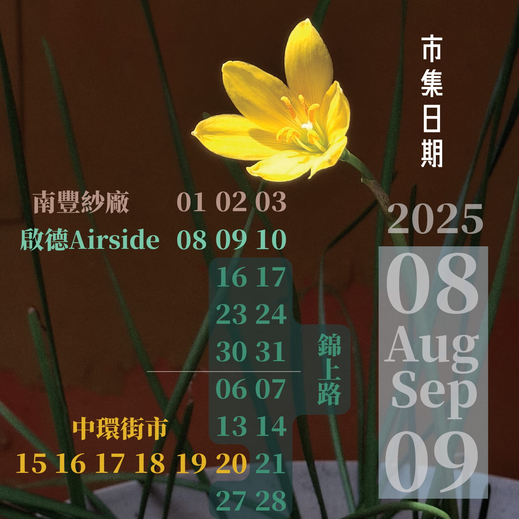Mobile image
