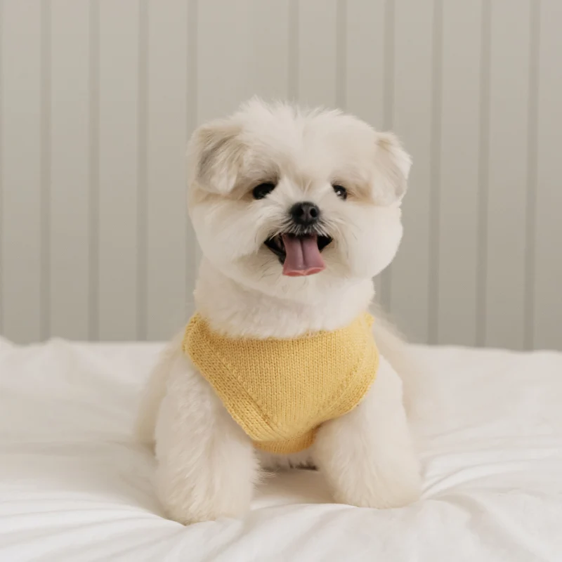 Bite Me🇰🇷SSFW Tiny Garden Knit Bib 針織小花園口袋背心 (3色)