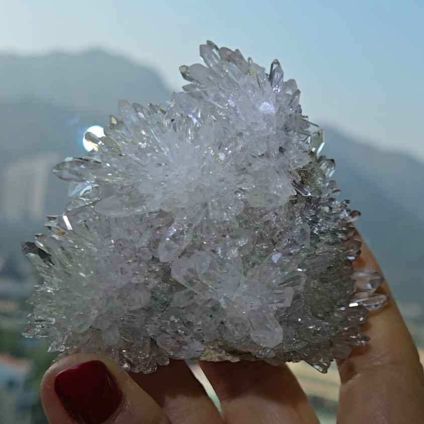Chrysanthemum needle quartz with flower buds - CQ477