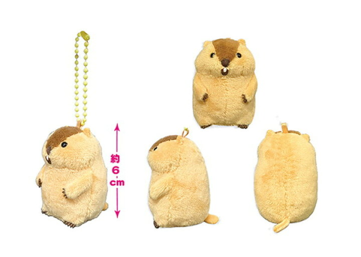 AMUFUN 土撥鼠 09CD26