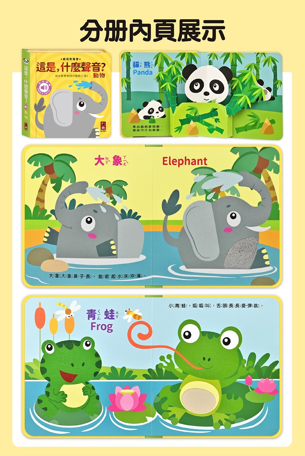 觸摸有聲書：這是什麼聲音？樂器