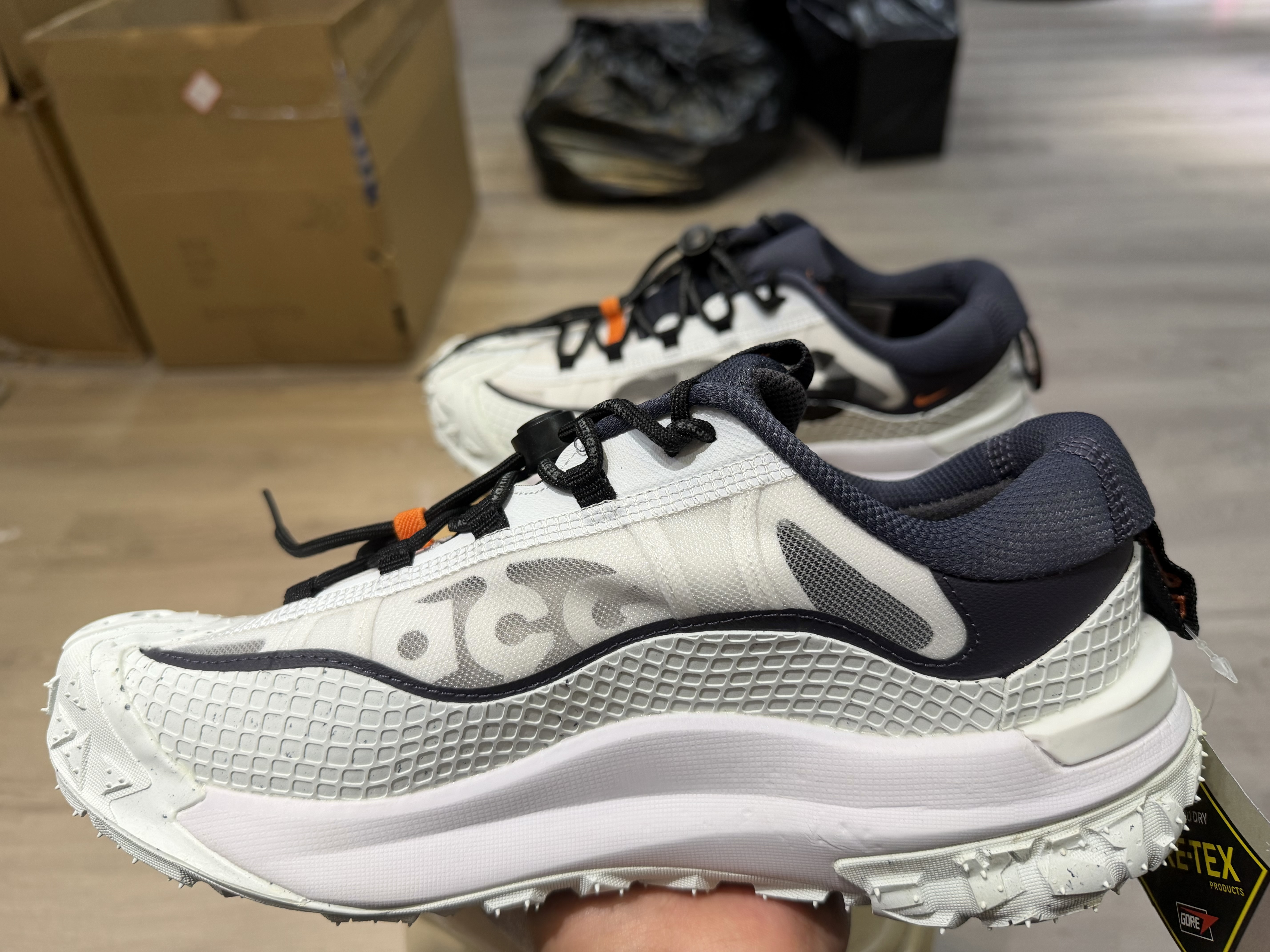 Nike ACG Mountain Fly 2 Low