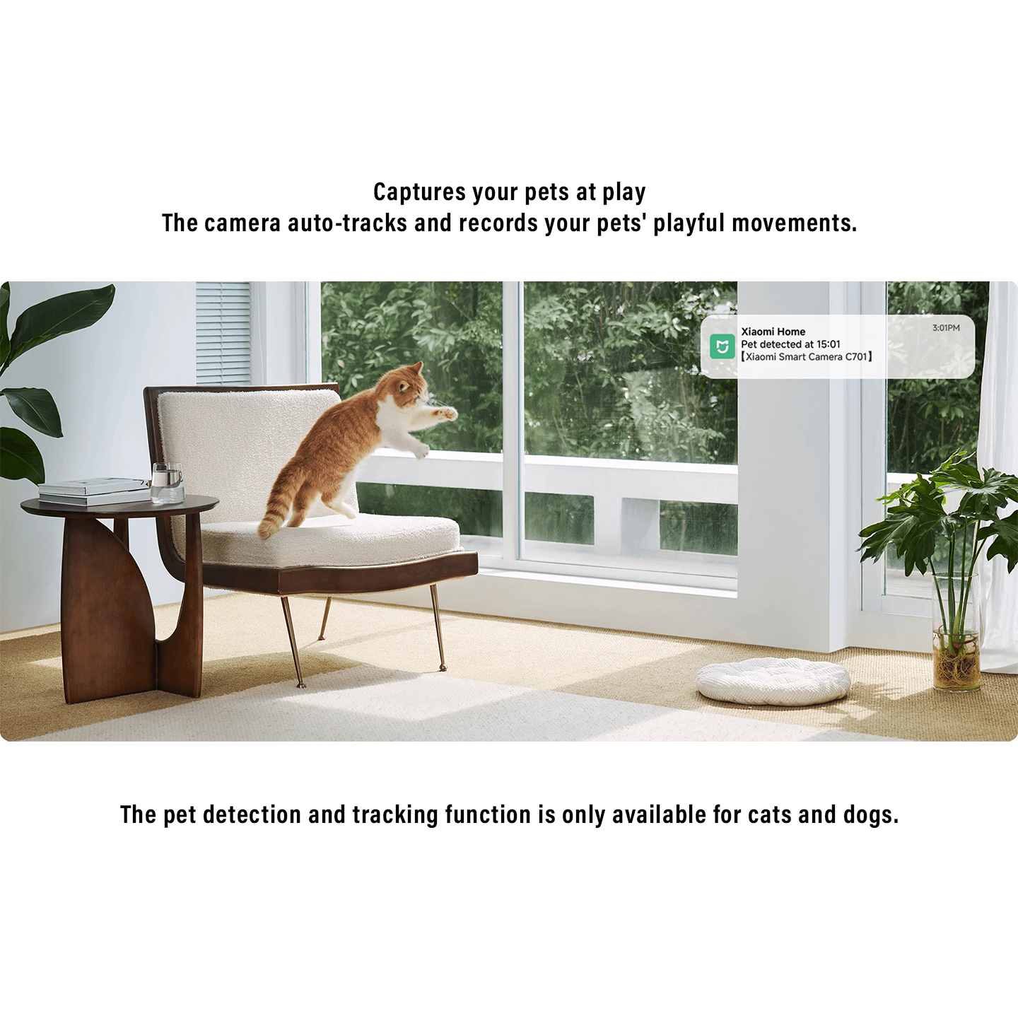 Xiaomi 4K C701 Professional Smart Camera AI (BHR07XUMY)