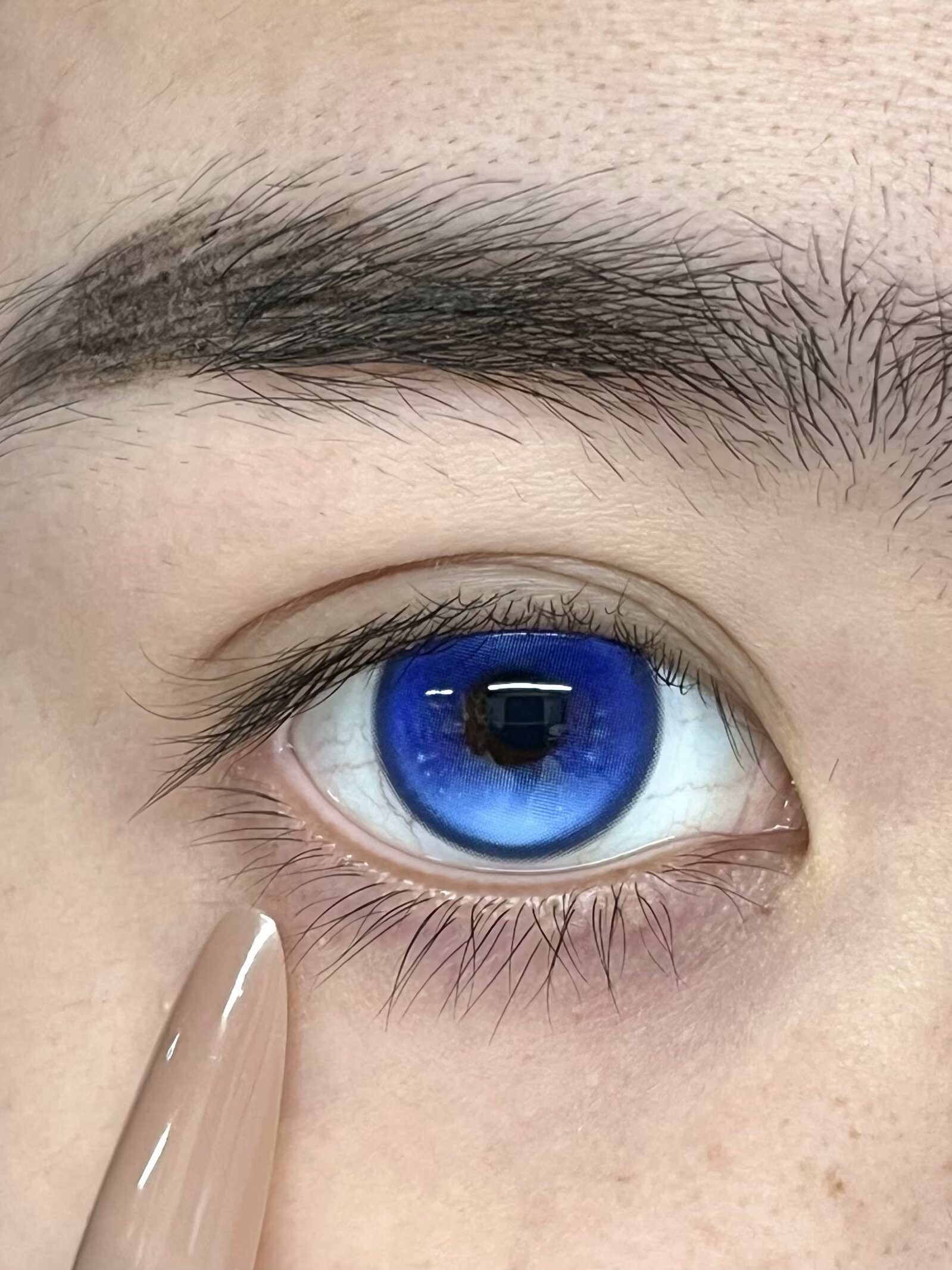 EggUncle 半年拋 孤魂遊墓園/浮遊試驗體/虛幻國度/柏林女巫/末世沙丘...