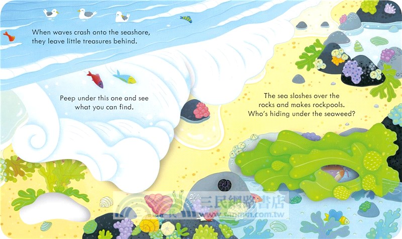 Peep Inside the Seashore