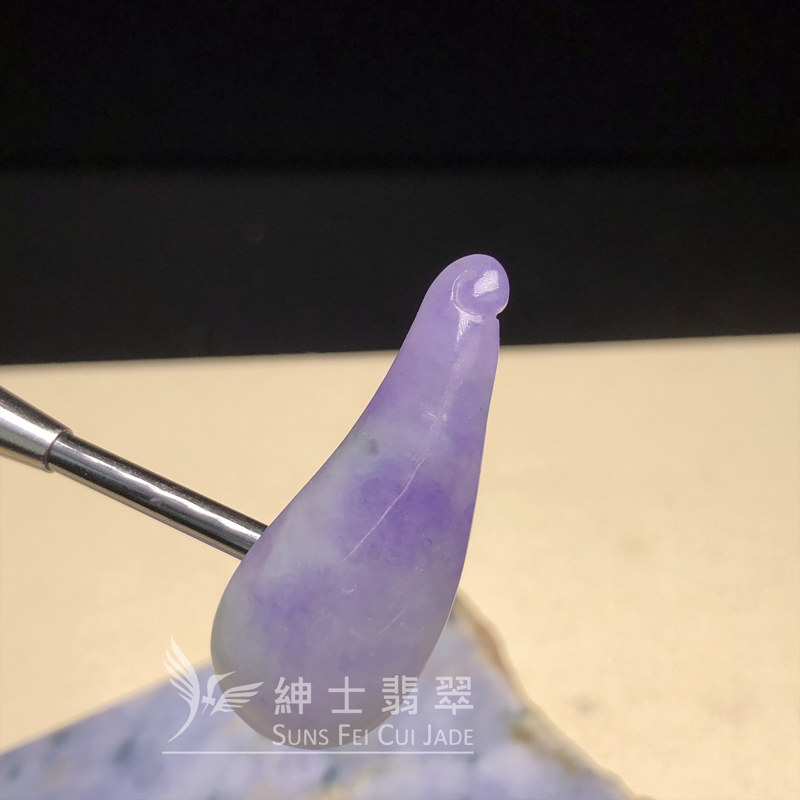 濃紫飄藍花福瓜  B08565