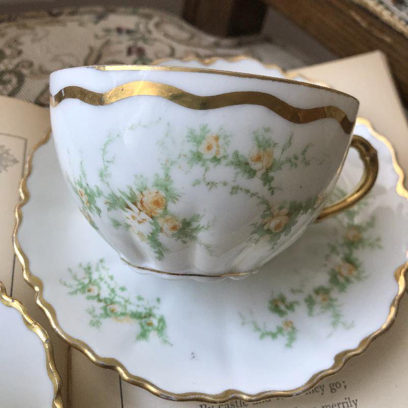 Antique 1889-1918 Made in Austria Hand-painted Floral Tea Set Duo Pair(MT086)