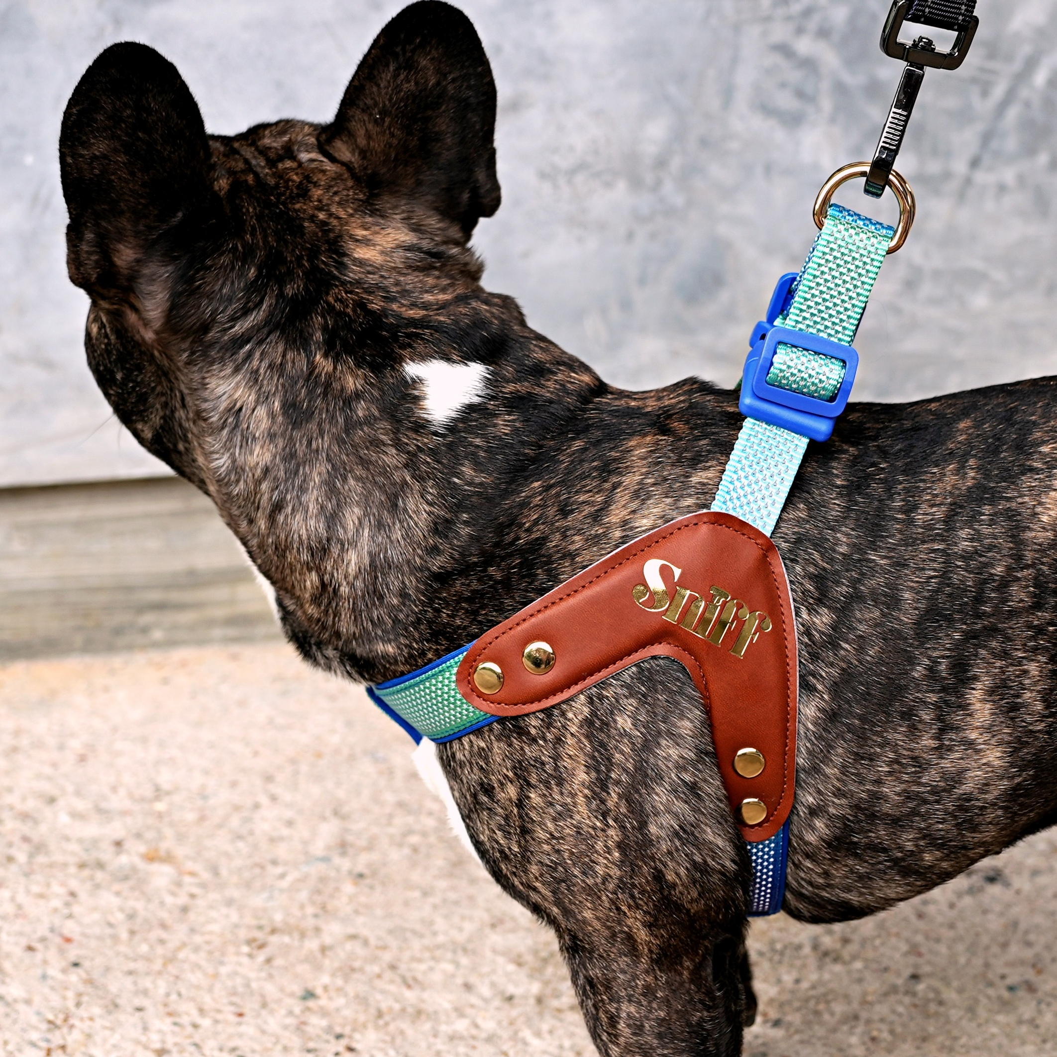 Step-In Harness - Baby’s Breathe - Tide Dusk Gradient