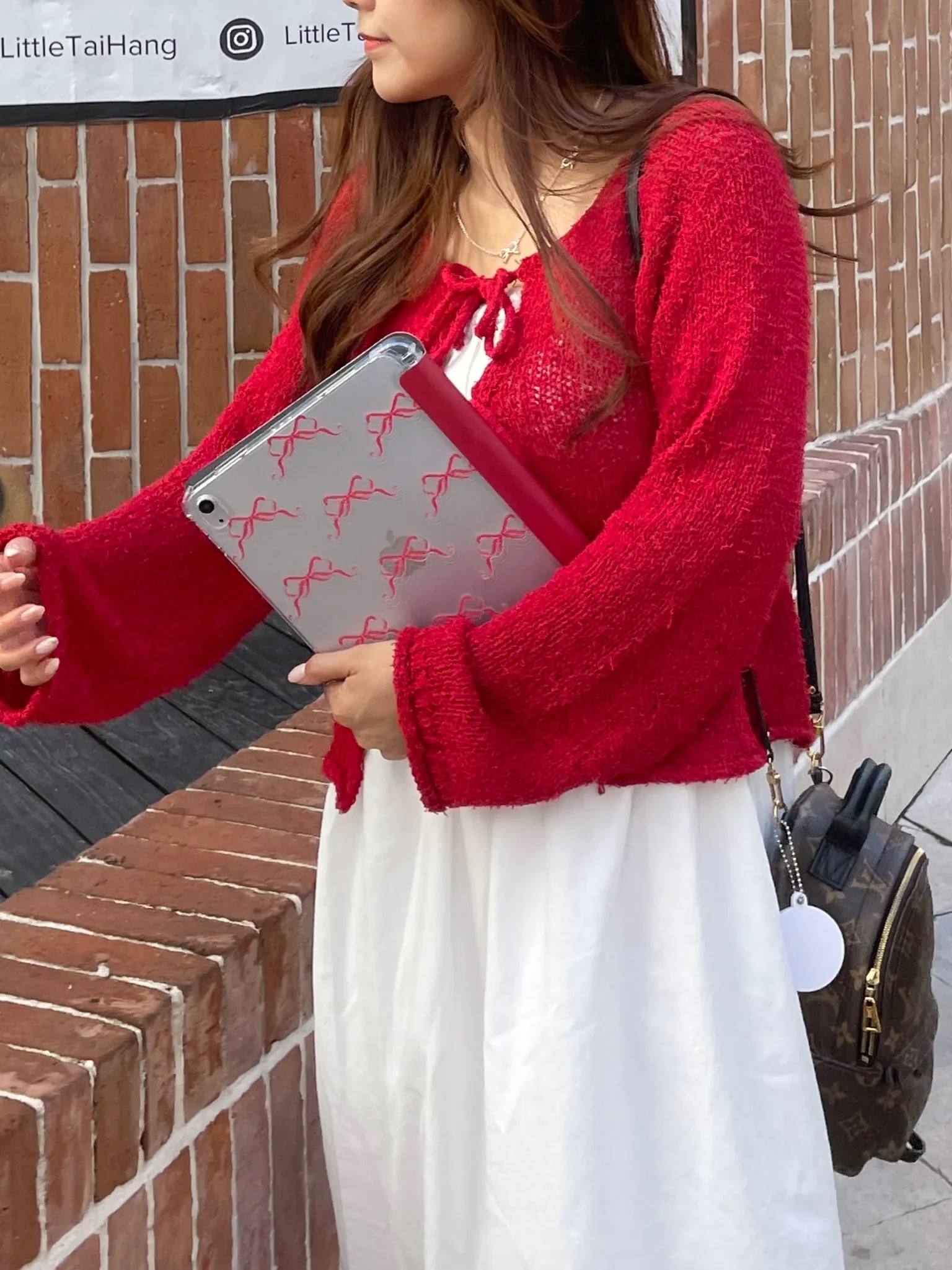 【Burgundy Ribbons in Full Printing】透明磨砂書本式 iPad Case