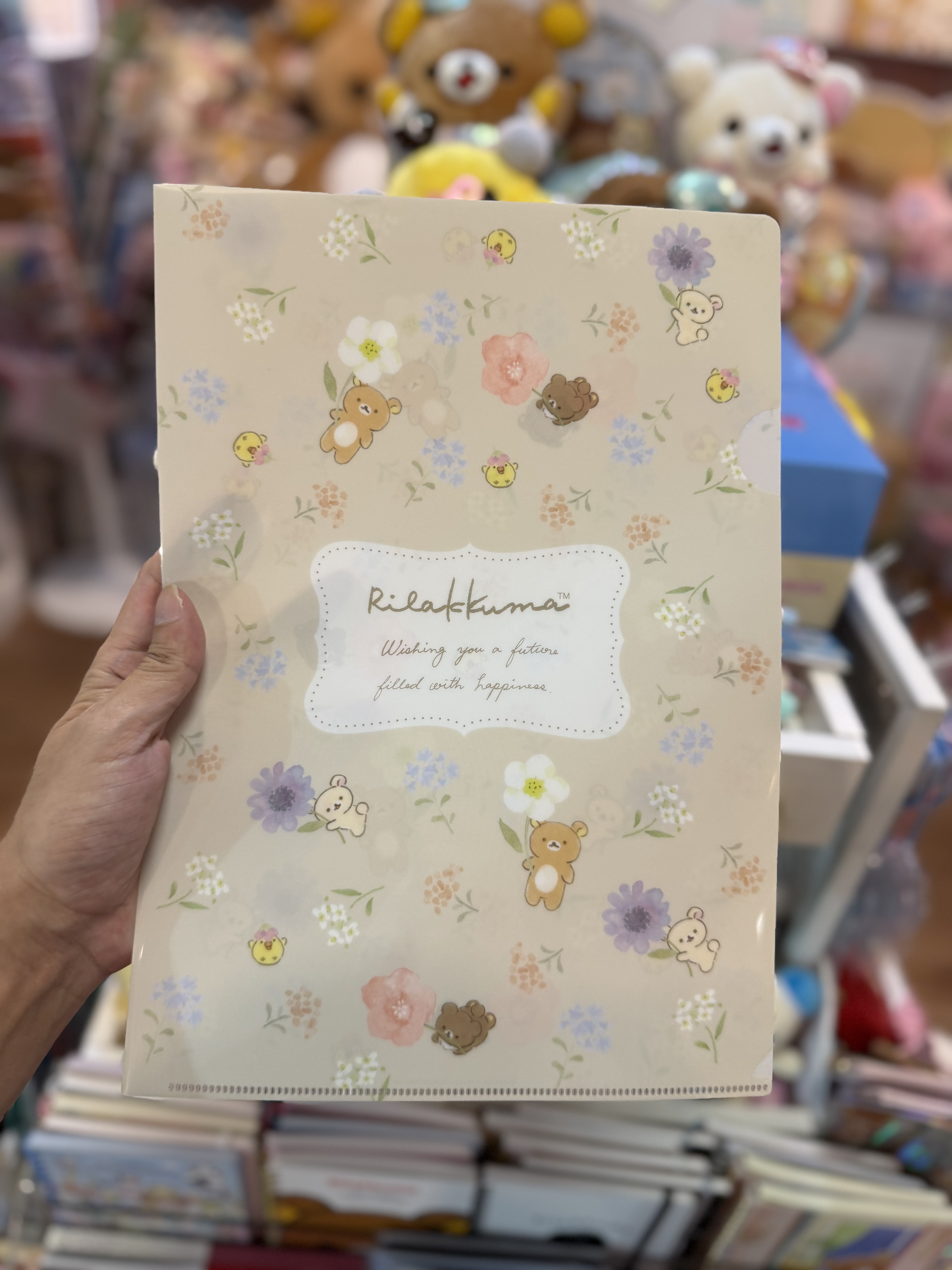 《現貨》全新日本郵便局限定 Rilakkuma A5+A4file+收據袋