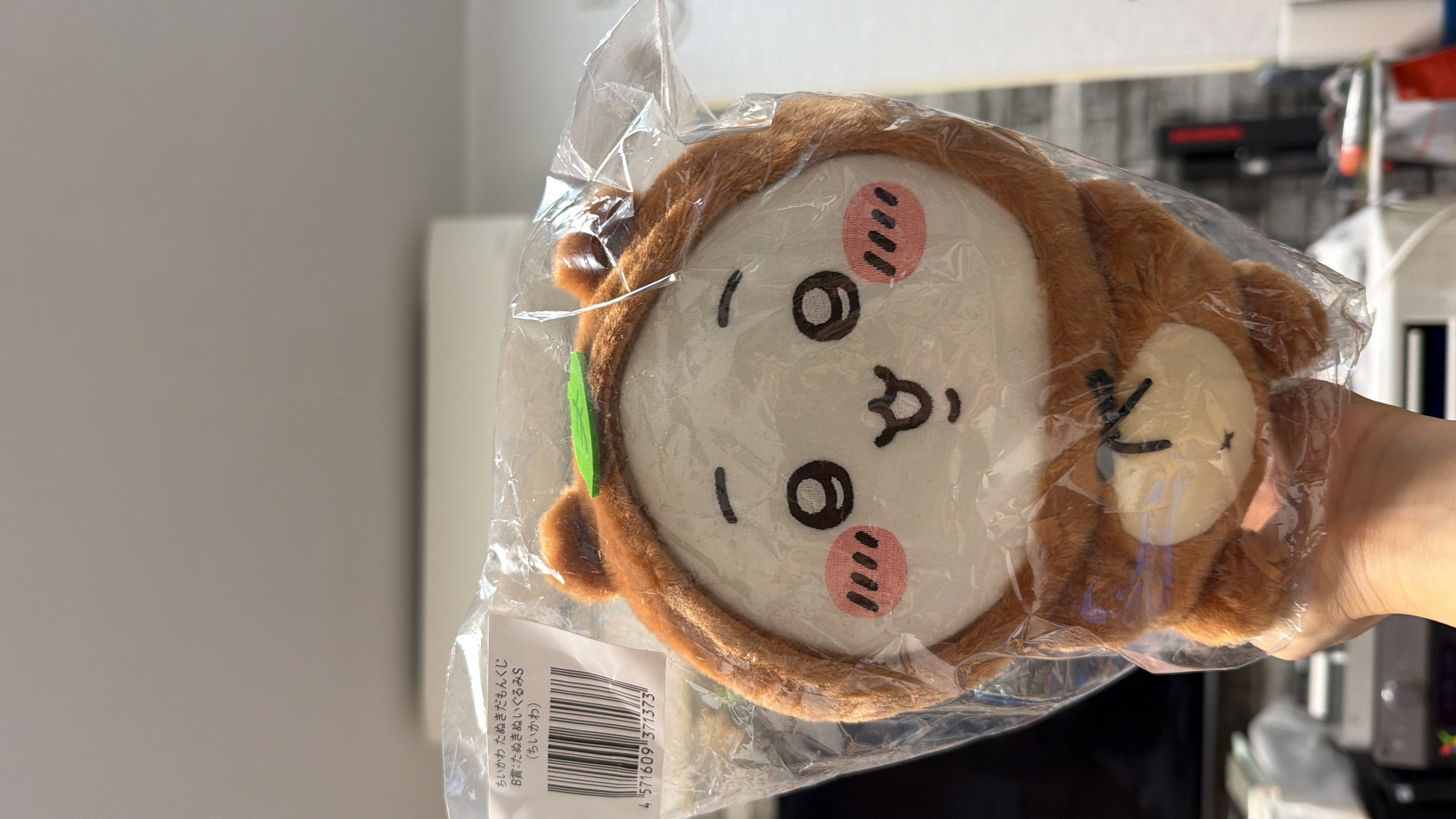 現貨 日本 Chiikawa小可愛公仔B賞