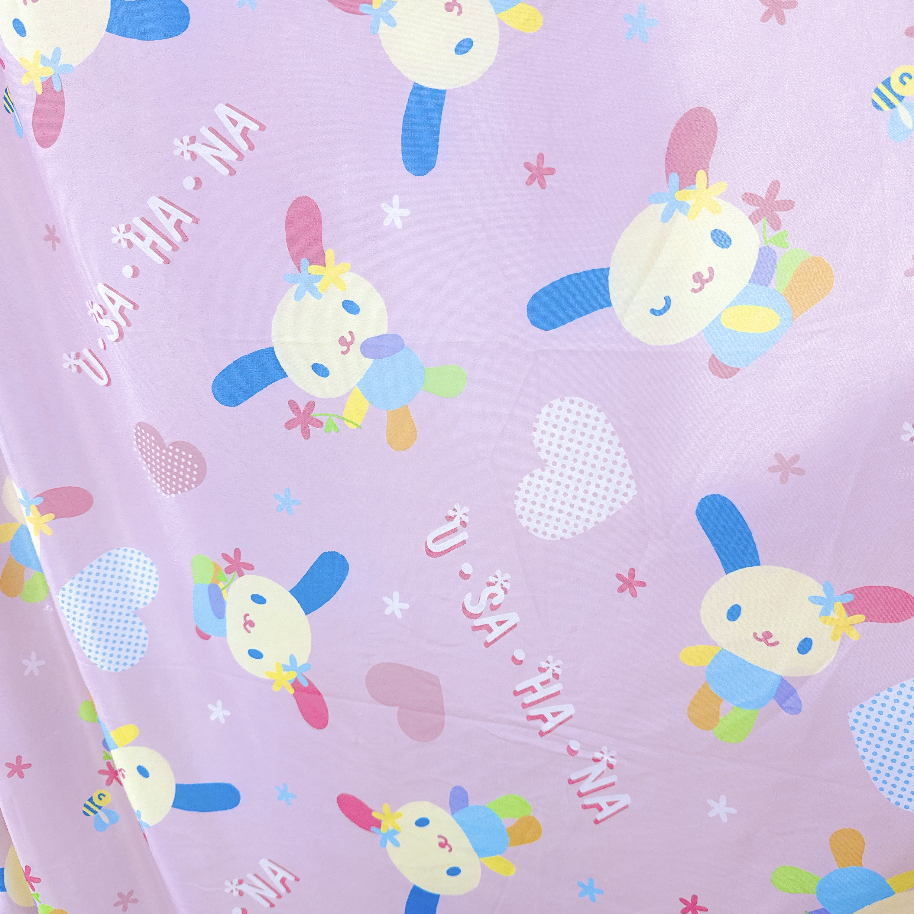 日本限定版Usahana商品 空運到港