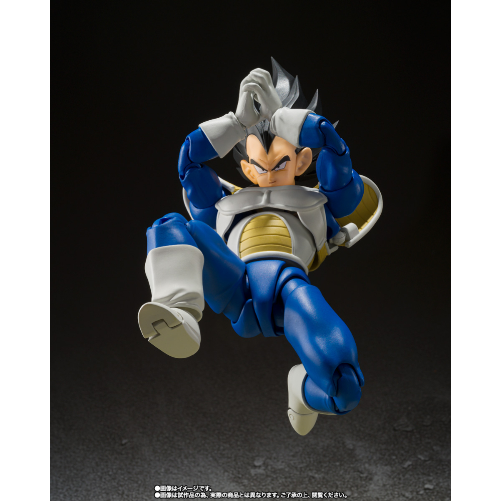 SHF Dragon Ball Z Vegeta 24000