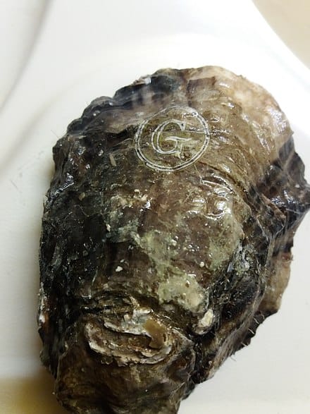 French Gilladreau Oysters Nos 2 法國吉拉多生蠔 生食用 (不設開蠔服務)