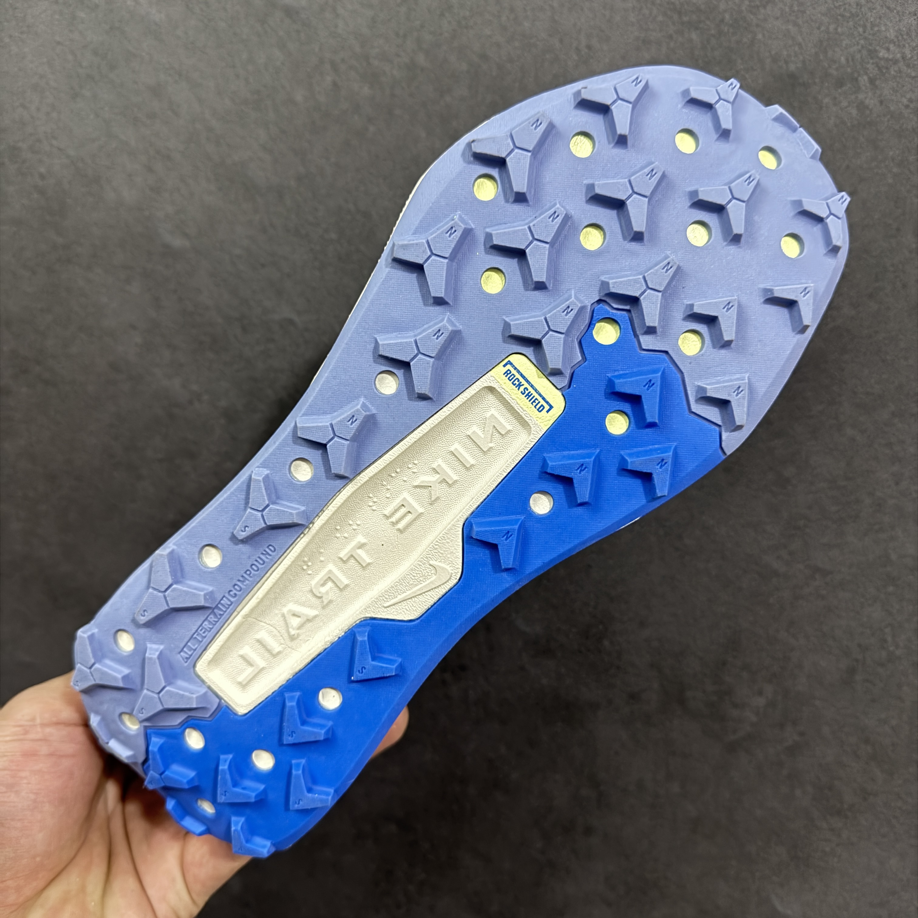 Nike ReactX Wildhorse 10 FV2337-400