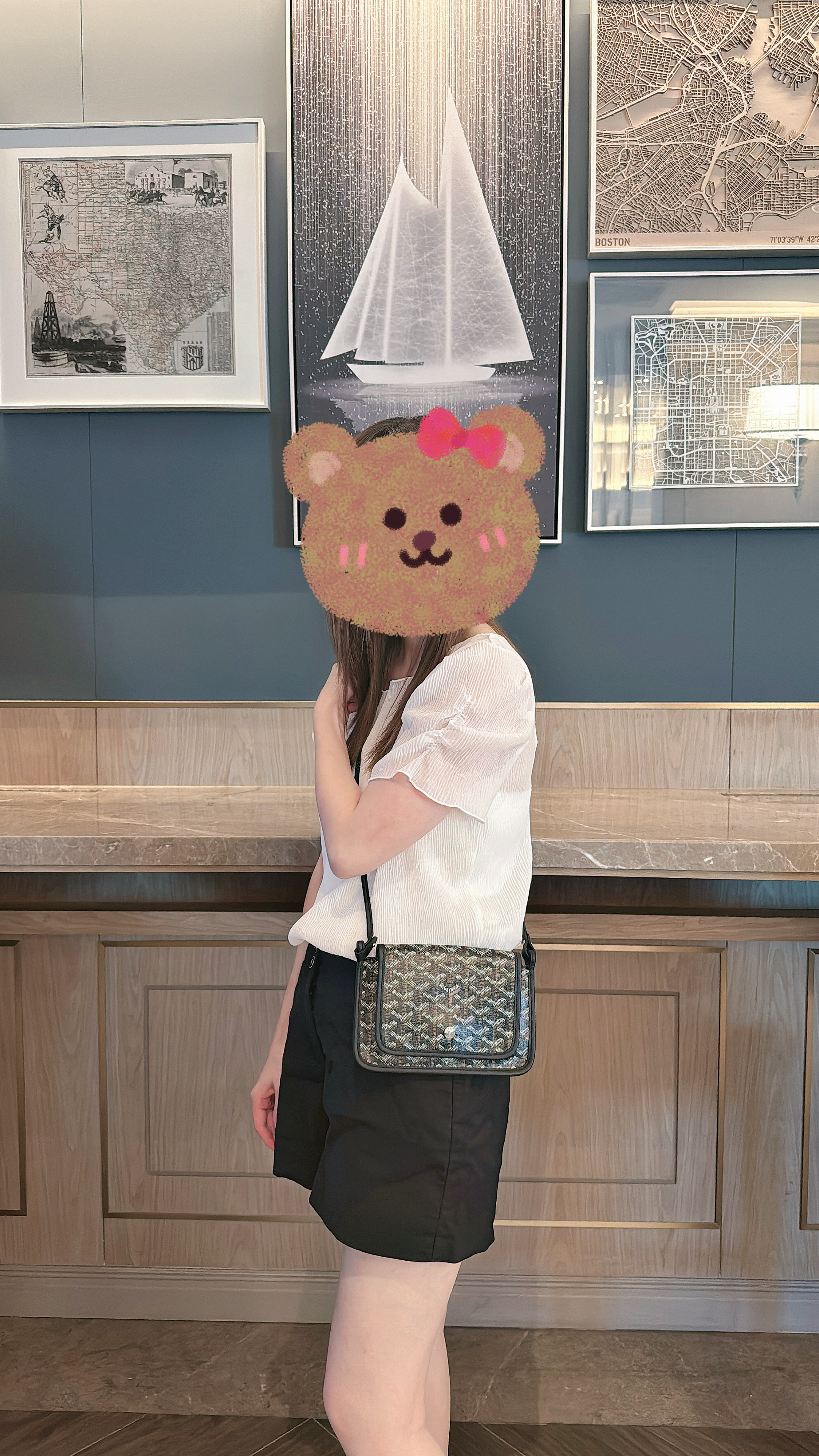 未使用品-Goyard Plumet pouch-wallet