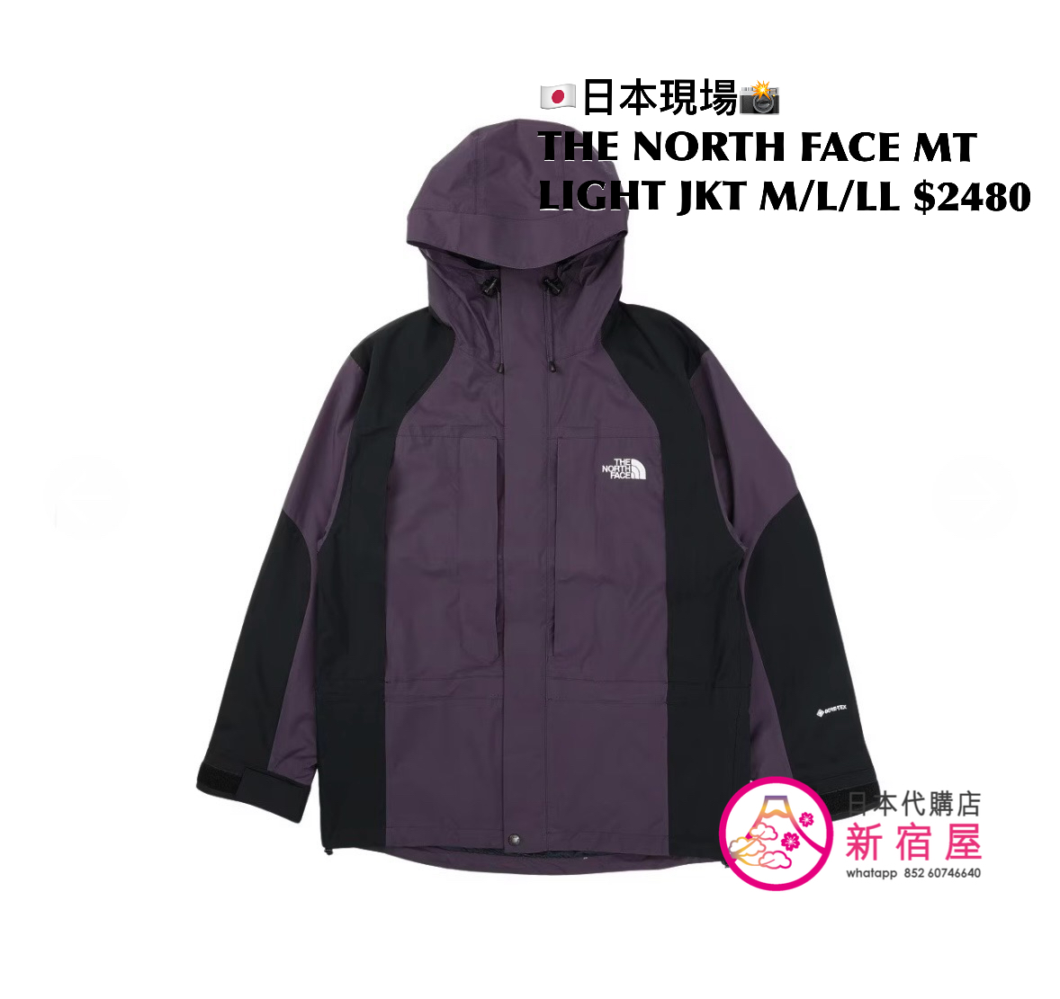 THE NORTH FACE MOUNTAIN LIGHT JACKET