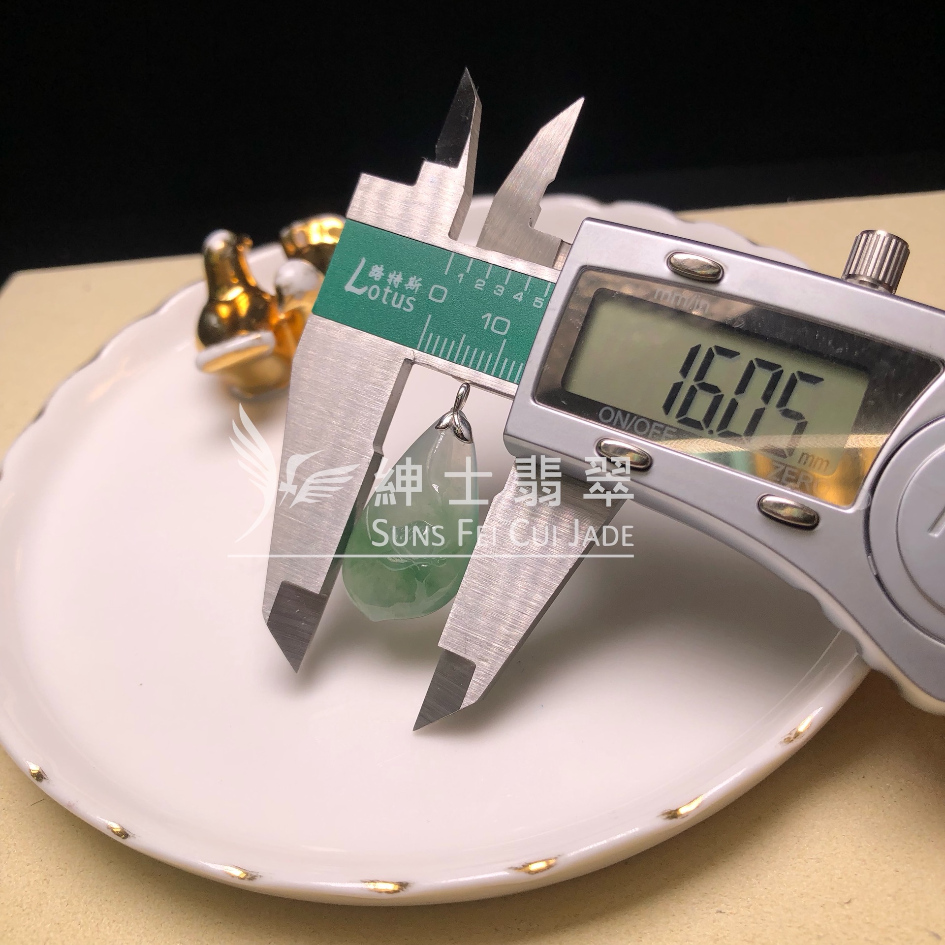YK01056 老油青玉蓮